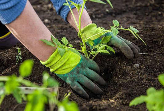 A Complete Guide to Vegan Friendly Composting