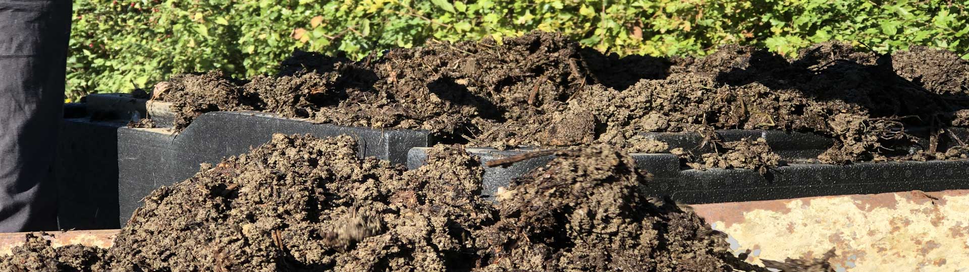HOTBIN Mega Compost Harvest Photo