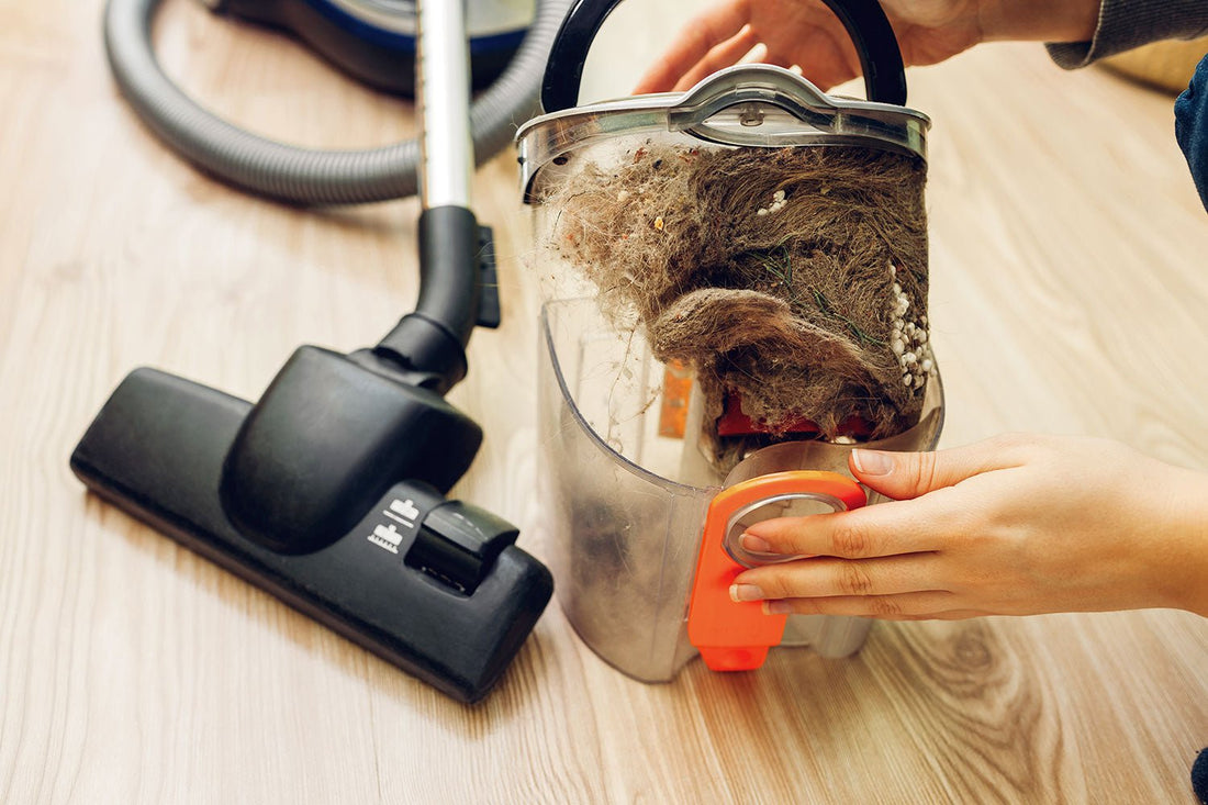 Can I Compost Vacuum Cleaner Contents - HOTBIN Composting