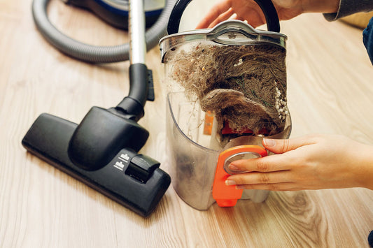 Can I Compost Vacuum Cleaner Contents - HOTBIN Composting