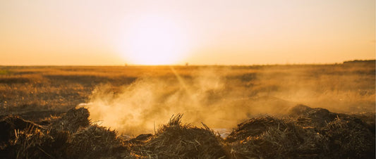 Could the Compost Heap Catch Fire? - HOTBIN Composting