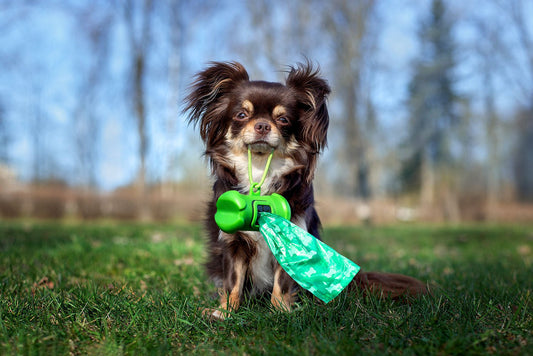 Can I Compost Poo? - HOTBIN Composting