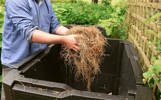 All About Greens and Browns - HOTBIN Composting