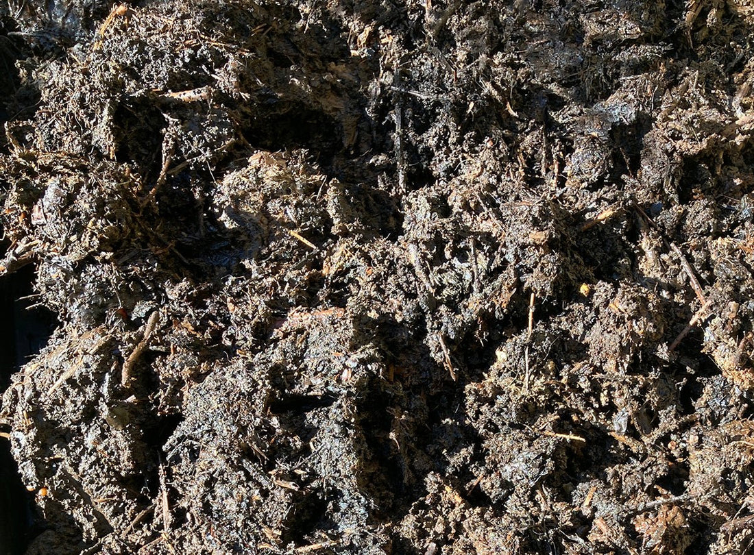 All About Humus and Compost - HOTBIN Composting