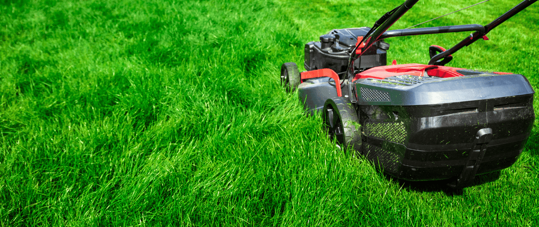 Can I Compost Lawn Thatch And Moss? - HOTBIN Composting