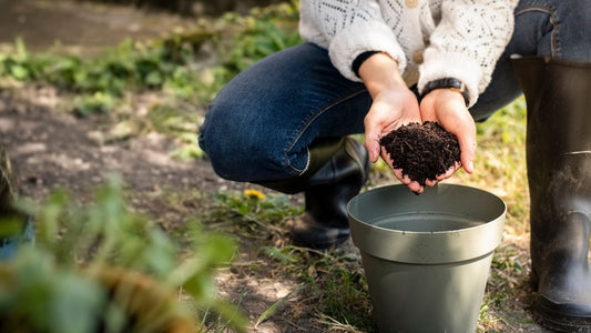 How to Top Dress Pots with Peat-Free Compost