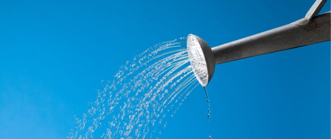 Do I Need to Water the Heap? - HOTBIN Composting