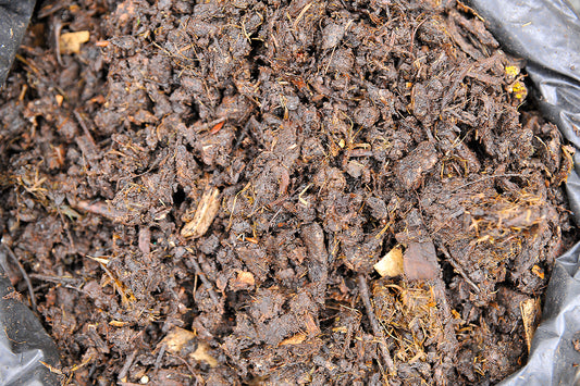 What Is Compost?