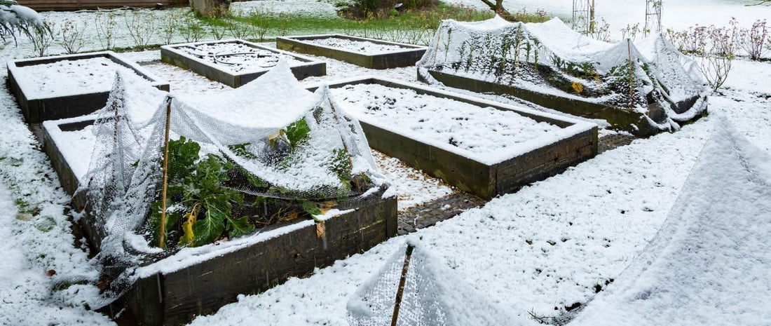 How to Start My HOTBIN in Winter - HOTBIN Composting