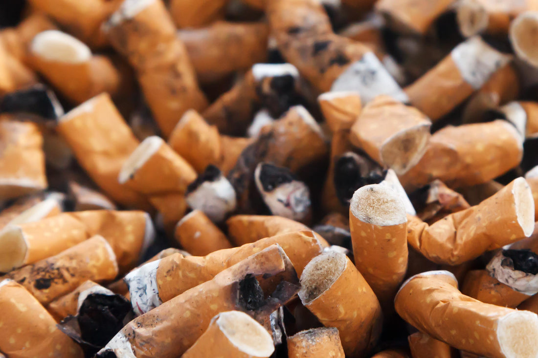 Can I Compost Cigarette Butts?