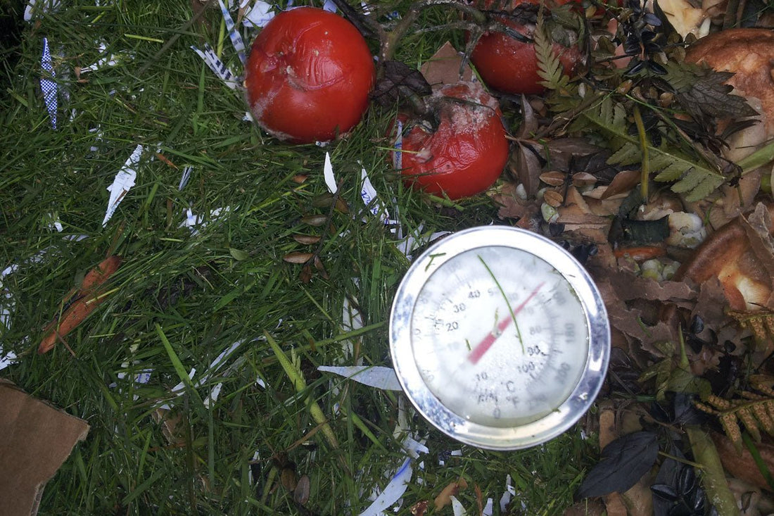 Can You Compost Grass Clippings? - HOTBIN Composting