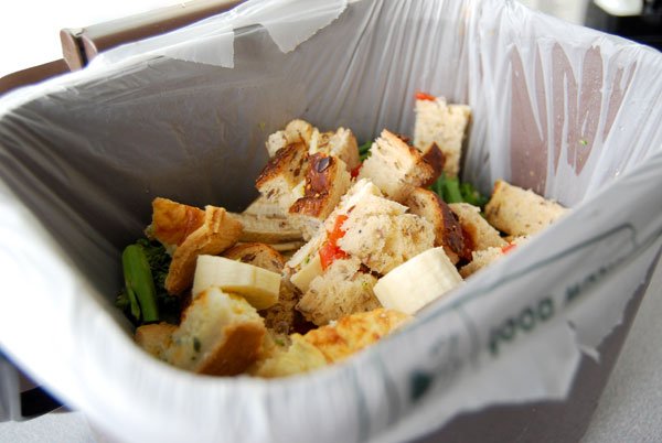 Can I Compost Caddy Bag Liners? - HOTBIN Composting