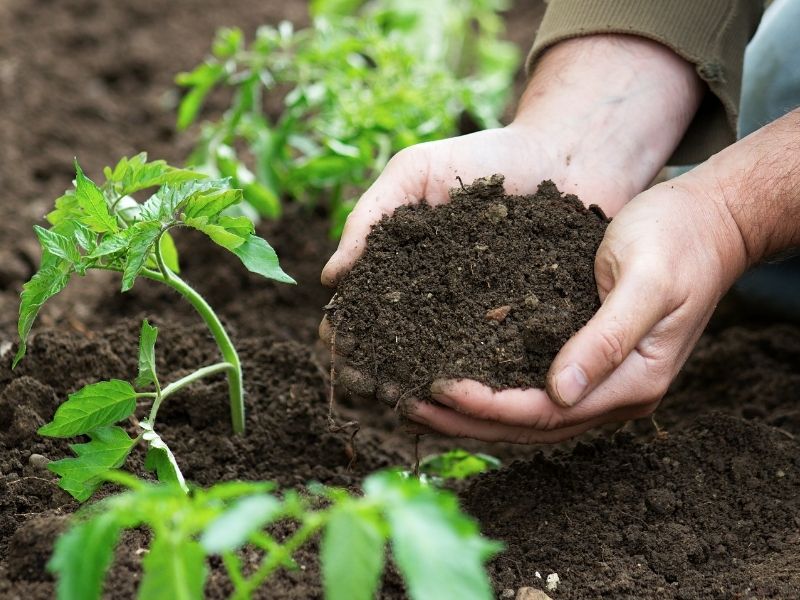 Inexpensive Compost: How to Make Rich Compost at Home Without Spending a Fortune - HOTBIN Composting