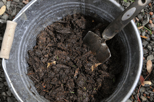 Using Old Compost to Start a HOTBIN