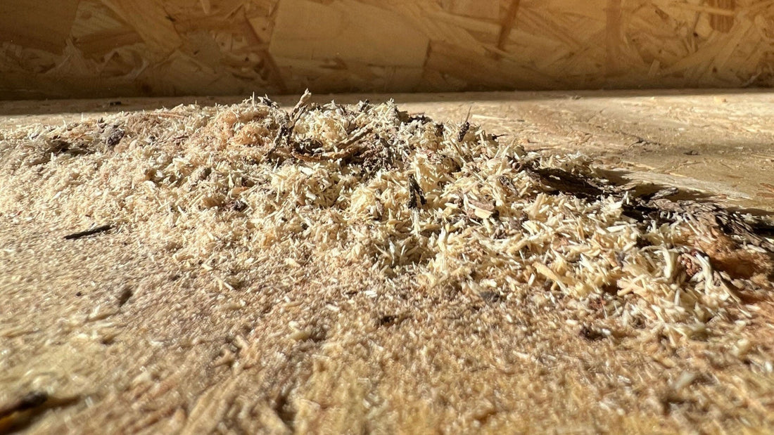 Can I Compost Wood, Paper and Cardboard? - HOTBIN Composting