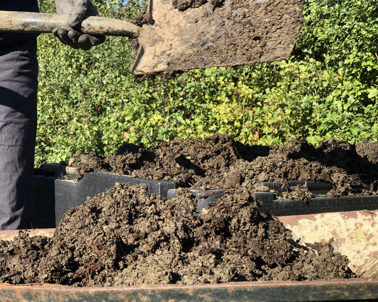 Close Up of HOTBIN Mega Compost Harvesting