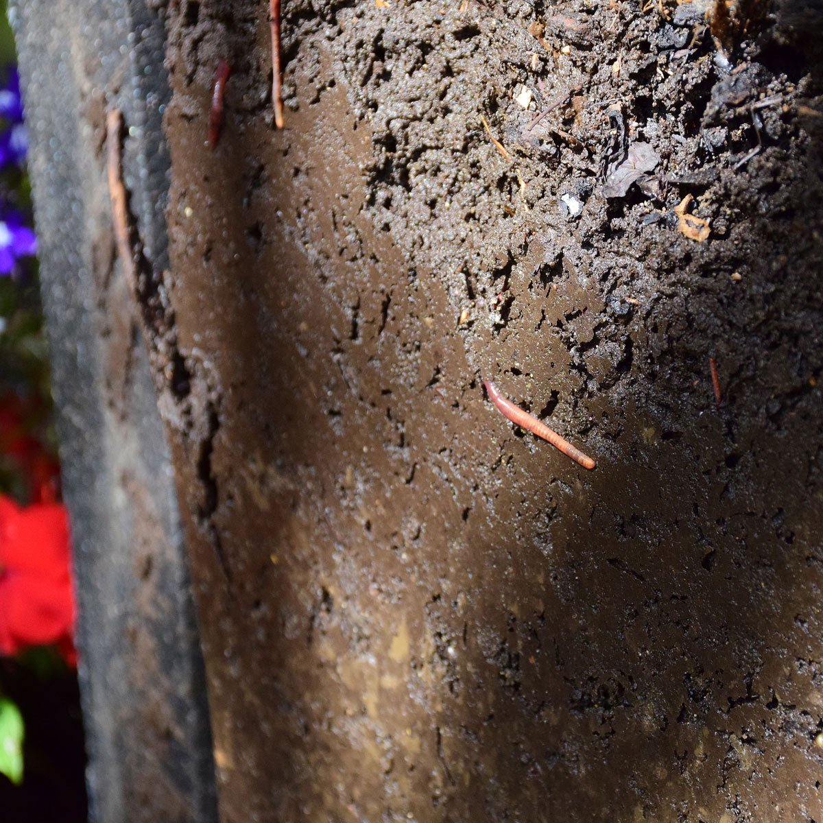 HOTBIN Mini (100ltr) Essentials Bundle - HOTBIN Composting